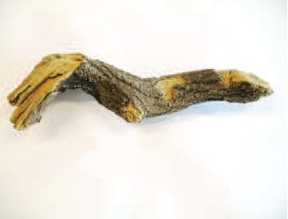 Bûche 07 P0679