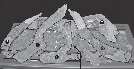 Jeu de buches bois céramique  derby S/ViB S/Tops L/CBS