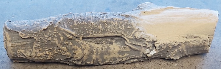 Bûche 10 B2
