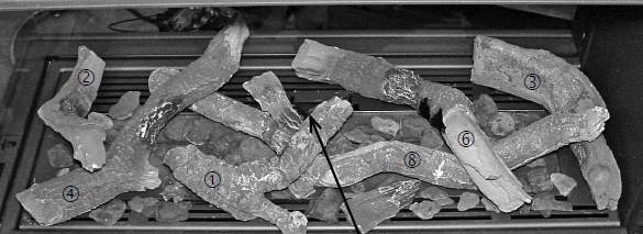 Set de bûches ceramique View bell roomdivider medium