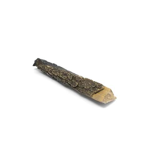 [550104] Buche E One C