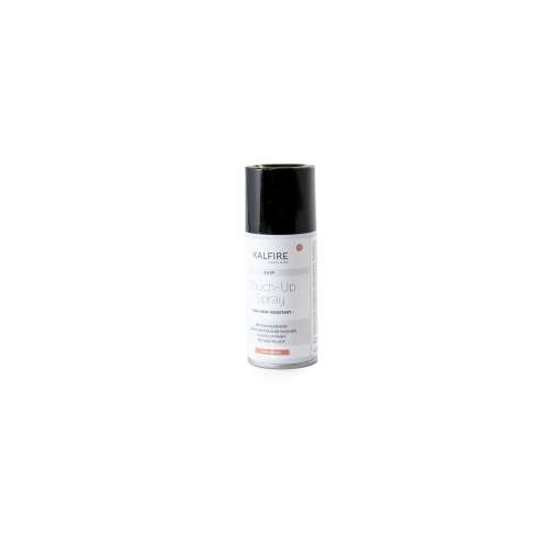 [460605] Peinture G Gp Spray 150Ml
