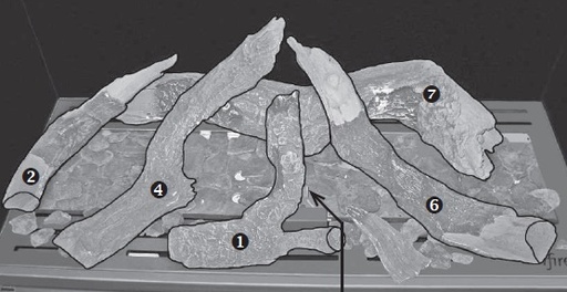 [331144] Jeu de buches bois céramique  derby S/ViB S/Tops L/CBS