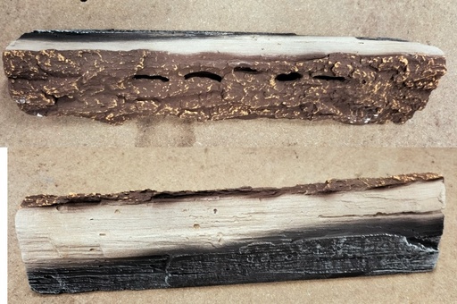 [350360] Houtstam 39