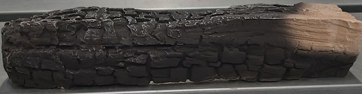 [350364] Houtstam 43