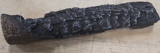 [350365] Houtstam 44